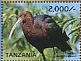 Glossy Ibis Plegadis falcinellus  2015 Ibises of Tanzania Sheet