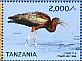 Glossy Ibis Plegadis falcinellus  2015 Ibises of Tanzania Sheet