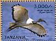 African Sacred Ibis Threskiornis aethiopicus  2015 Ibises of Tanzania Sheet