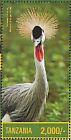 Grey Crowned Crane Balearica regulorum