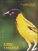 Black-headed Weaver Ploceus melanocephalus  2016 Birds of Africa  MS