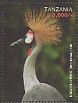 Grey Crowned Crane Balearica regulorum