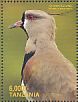 Southern Lapwing Vanellus chilensis  2016 Birds of Africa  MS