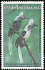 White-crowned Hornbill Berenicornis comatus