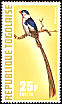 Pin-tailed Whydah Vidua macroura  1972 Exotic birds 