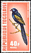 Yellow-mantled Widowbird Euplectes macroura  1972 Exotic birds 