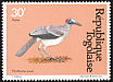 Grey-necked Rockfowl Picathartes oreas  1981 Birds 