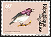 Violet-backed Starling Cinnyricinclus leucogaster