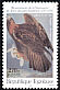 Golden Eagle Aquila chrysaetos