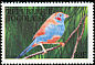 Red-cheeked Cordon-bleu Uraeginthus bengalus  1995 Birds 