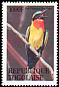 Red-throated Bee-eater Merops bulocki