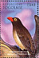 Red-billed Oxpecker Buphagus erythrorynchus  1996 Endangered species  MS