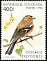 Eurasian Chaffinch Fringilla coelebs