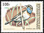 Bluethroat Luscinia svecica  1999 Songbirds 