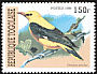 Eurasian Golden Oriole Oriolus oriolus  1999 Songbirds 
