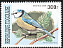 Eurasian Blue Tit Cyanistes caeruleus  1999 Songbirds 