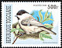 Willow Tit Poecile montanus  1999 Songbirds 