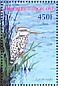Pied Kingfisher Ceryle rudis  2006 Aquatic birds Sheet