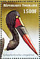 Saddle-billed Stork Ephippiorhynchus senegalensis