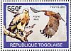 Tawny Eagle Aquila rapax