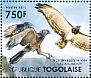 Black-chested Snake Eagle Circaetus pectoralis  2011 African raptors Sheet