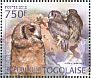 Greyish Eagle-Owl Bubo cinerascens  2012 Owls Sheet