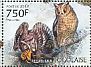 Eurasian Scops Owl Otus scops