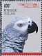 Grey Parrot Psittacus erithacus  2014 Grey Parrot Sheet