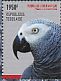 Grey Parrot Psittacus erithacus  2014 Grey Parrot  MS MS