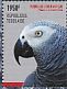 Grey Parrot Psittacus erithacus