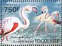 Greater Flamingo Phoenicopterus roseus  2013 Flamingos Sheet