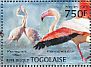 Greater Flamingo Phoenicopterus roseus  2013 Flamingos Sheet