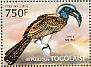 African Grey Hornbill Lophoceros nasutus  2013 Hornbills Sheet