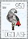 Grey Parrot Psittacus erithacus  2013 Parrots  MS MS MS