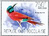 Northern Carmine Bee-eater Merops nubicus  2013 Bee-eaters Sheet