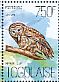 Barred Owl Strix varia  2013 Owls and mice Sheet