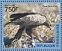 Lesser Spotted Eagle Clanga pomarina  2014 Eagles Sheet