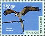 Western Osprey Pandion haliaetus  2014 Birds  MS