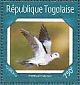 Ring-necked Dove Streptopelia capicola  2014 Pigeons Sheet
