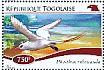 Red-tailed Tropicbird Phaethon rubricauda  2014 Birds of Africa Sheet