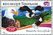 Bald Eagle Haliaeetus leucocephalus  2014 Raptors Sheet
