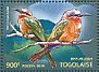 White-fronted Bee-eater Merops bullockoides  2015 Bee-eaters Sheet