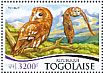 Tawny Owl Strix aluco  2015 Owls  MS