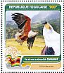 African Fish Eagle Icthyophaga vocifer