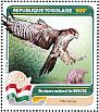 Saker Falcon Falco cherrug  2016 Fauna of the world 4v sheet