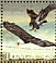 Bald Eagle Haliaeetus leucocephalus  1987 Wildlife conservation 12v sheet