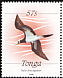 Brown Booby Sula leucogaster  1988 Definitives 