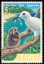 White Tern Gygis alba  1998 Birds 