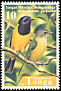 Tongan Whistler Pachycephala jacquinoti  1998 Birds 