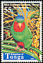 Blue-crowned Lorikeet Vini australis